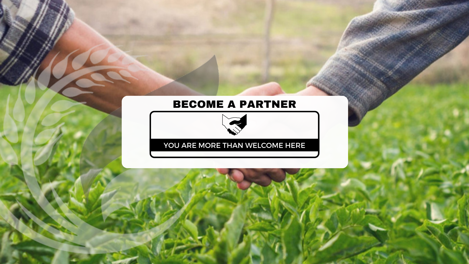 representation page banner